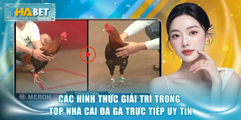 Top Nhà Cái Đá Gà Trực Tiếp Uy Tín - Vinh Danh Số 1 Thabet - GOVAN.WEBSITE