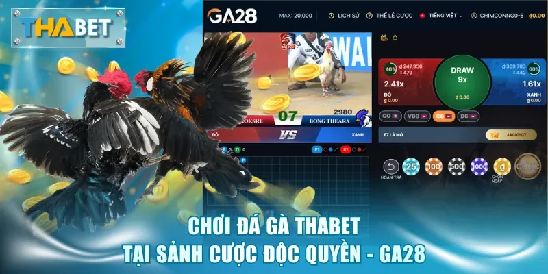 Đá Gà Thabet - Sảnh Cược Kịch Tính, Tỷ Lệ Thưởng Hấp Dẫn - GOVAN.WEBSITE