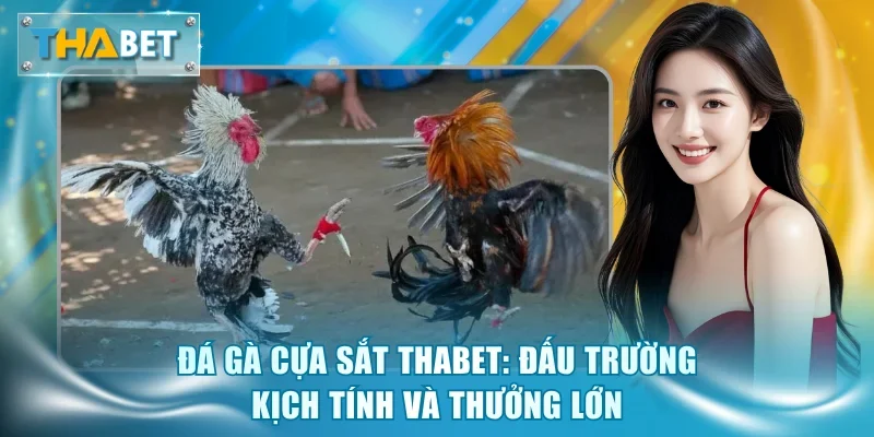 Đá Gà Thabet - Sảnh Cược Kịch Tính, Tỷ Lệ Thưởng Hấp Dẫn - GOVAN.WEBSITE