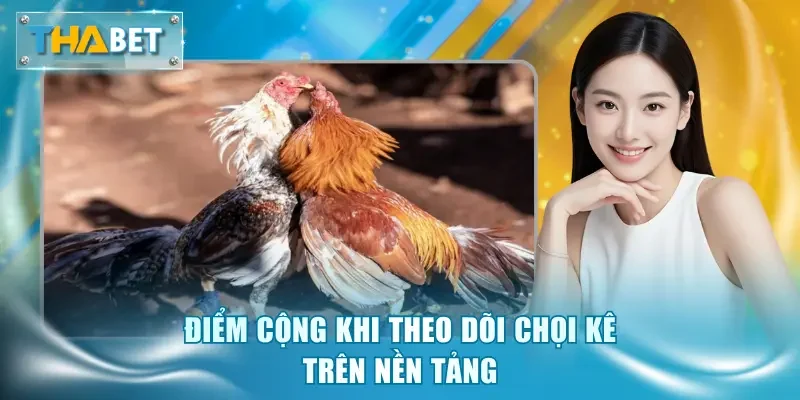 Đá Gà Trực Tuyến - Giải Trí Tiện Lợi Và An Toàn Tuyệt Đối - GOVAN.WEBSITE