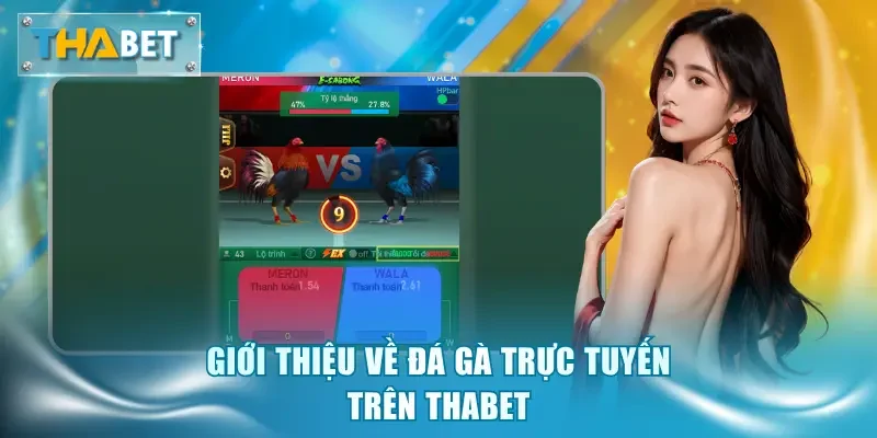 Đá Gà Trực Tuyến - Giải Trí Tiện Lợi Và An Toàn Tuyệt Đối - GOVAN.WEBSITE