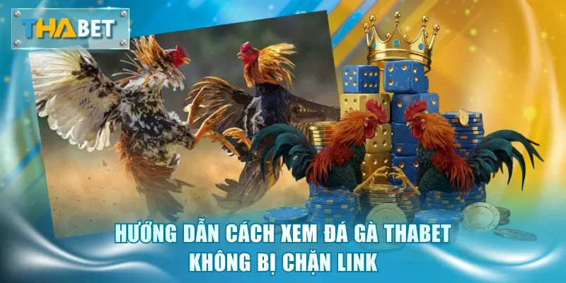 Đá Gà Thabet - Sảnh Cược Kịch Tính, Tỷ Lệ Thưởng Hấp Dẫn - GOVAN.WEBSITE