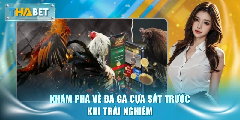 Đá Gà Cựa Sắt Thabet - Đấu Trường Kịch Tính Và Thưởng Lớn - GOVAN.WEBSITE