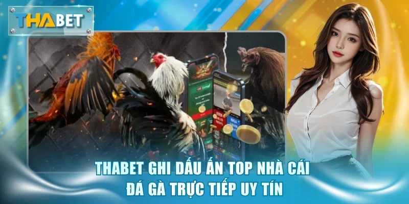 Top Nhà Cái Đá Gà Trực Tiếp Uy Tín - Vinh Danh Số 1 Thabet - GOVAN.WEBSITE