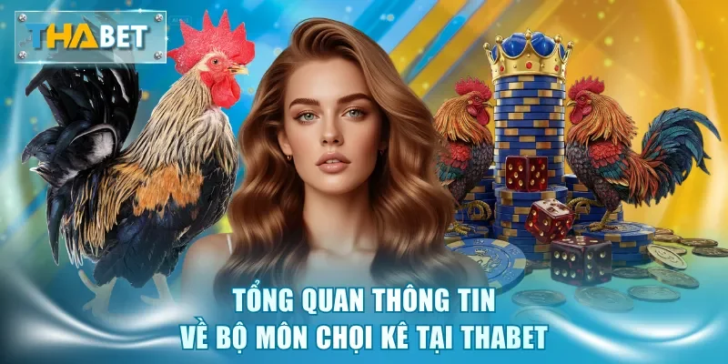 Đá Gà Thabet - Sảnh Cược Kịch Tính, Tỷ Lệ Thưởng Hấp Dẫn - GOVAN.WEBSITE