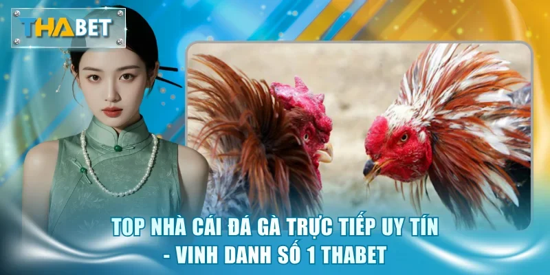 Đá Gà Thabet - Sảnh Cược Kịch Tính, Tỷ Lệ Thưởng Hấp Dẫn - GOVAN.WEBSITE